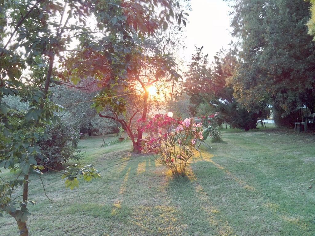 Agriturismo La Torre Di Monsindoli Siena Ngoại thất bức ảnh