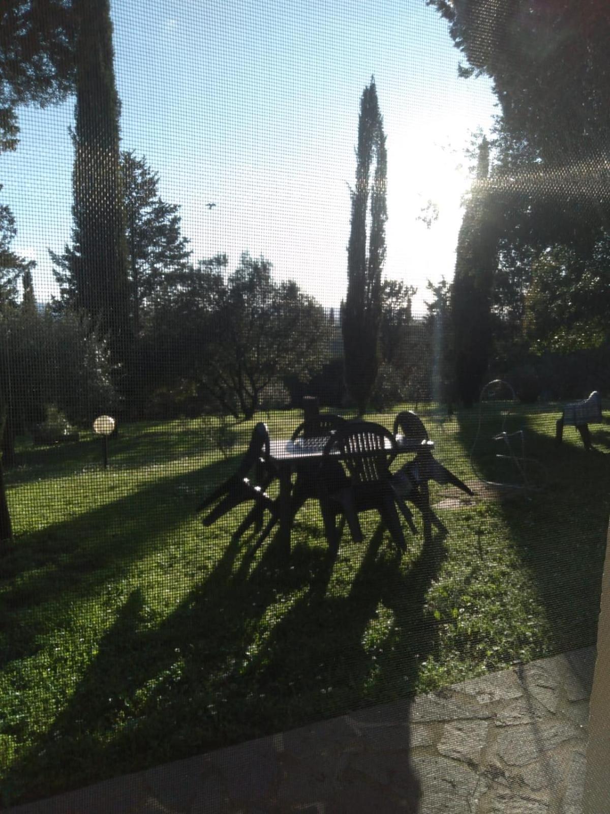Agriturismo La Torre Di Monsindoli Siena Ngoại thất bức ảnh