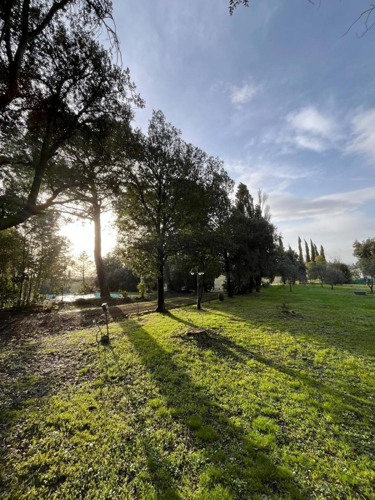 Agriturismo La Torre Di Monsindoli Siena Ngoại thất bức ảnh