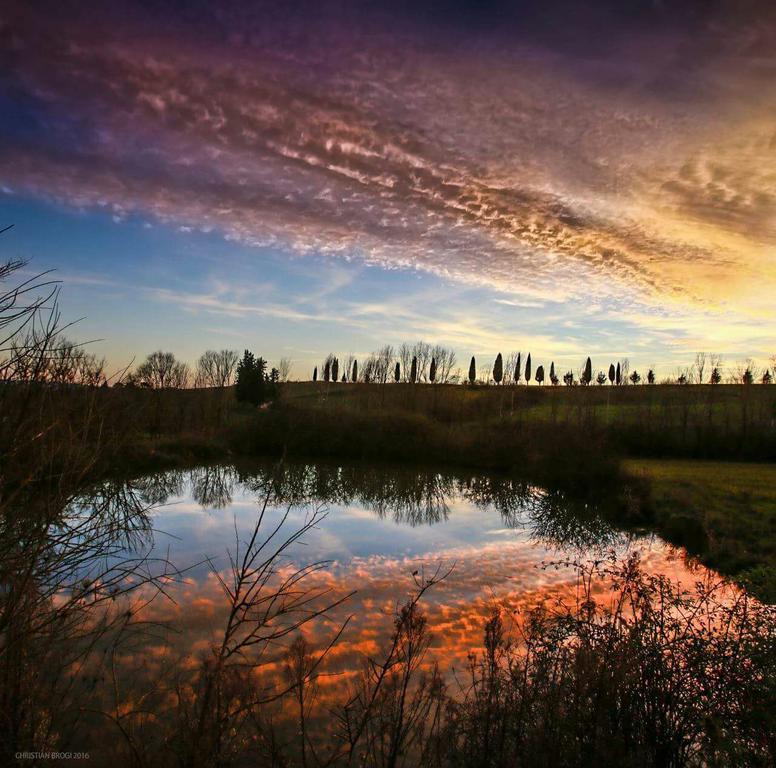Agriturismo La Torre Di Monsindoli Siena Ngoại thất bức ảnh